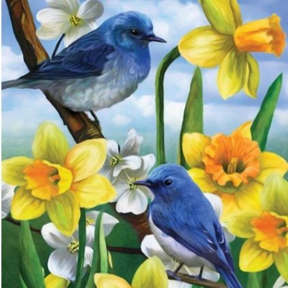 Meet your Posher, Christa